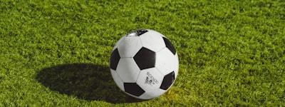 球迷们在论坛中热烈讨论足球比赛战术的虚拟场景